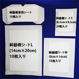 糾励根シート S×2 M×6 糾励根シート S×2 M×6 糾励根シート S×2 M×6 【公式通販】